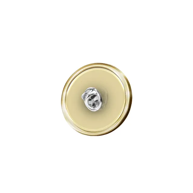 Gold Polished Pins view 4