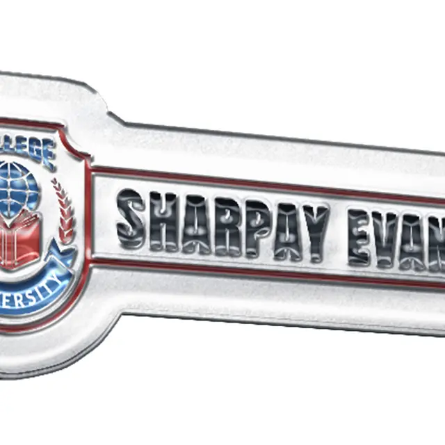 Soft Enamel School Badge Pins view 2
