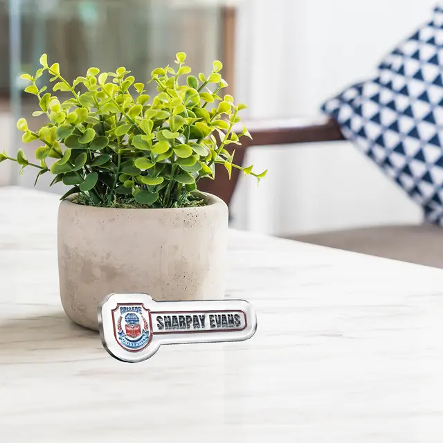 Soft Enamel School Badge Pins view 5
