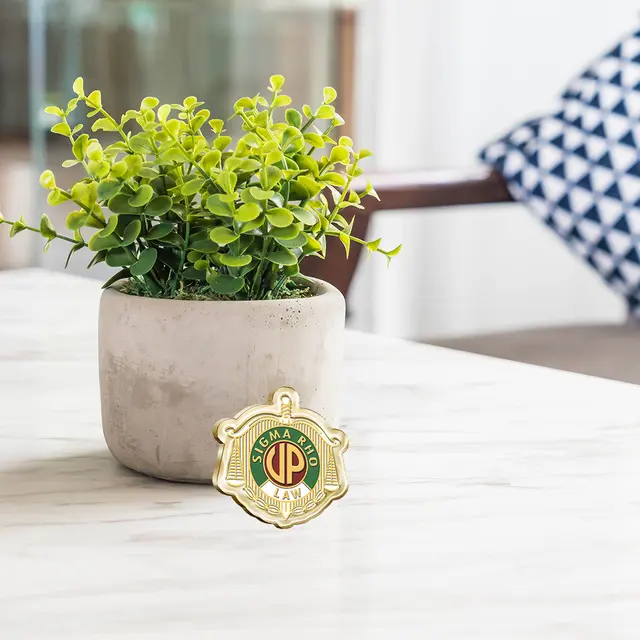 Soft Enamel Fraternity Pins view 5