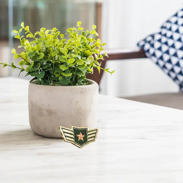Soft Enamel Military Pins view 4