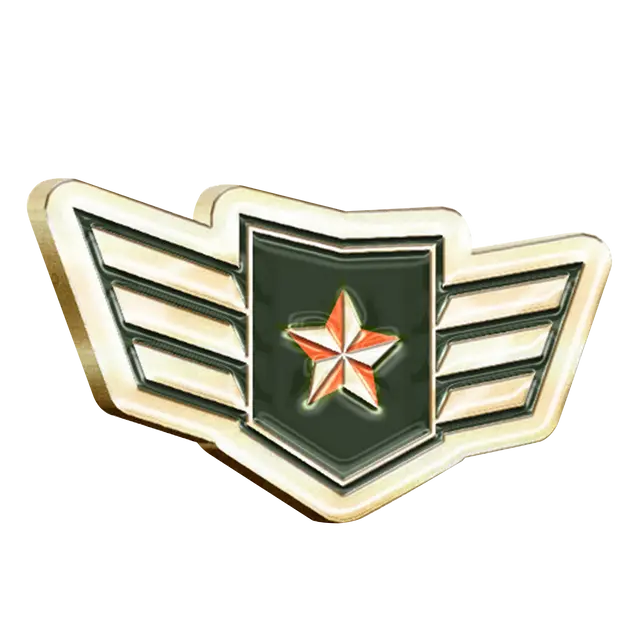 Soft Enamel Military Pins view 6
