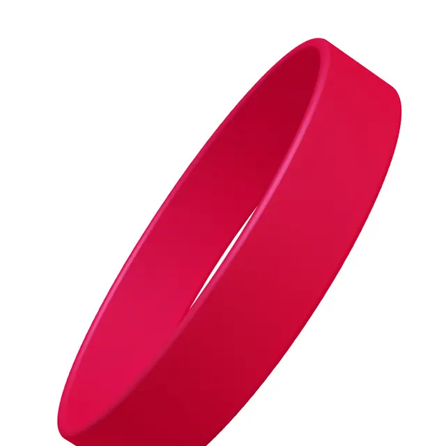 Blank Wristbands view 2