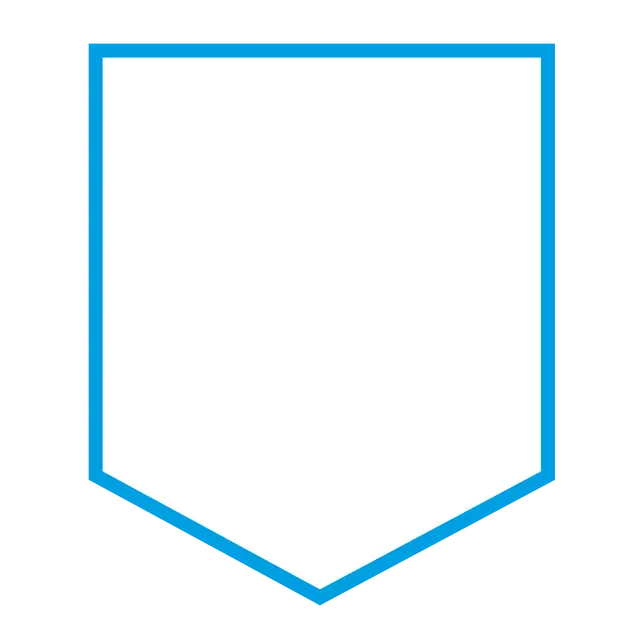 Shape #30