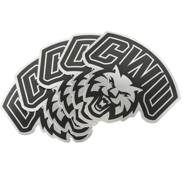 Custom Metallic Paper Stickers view 4