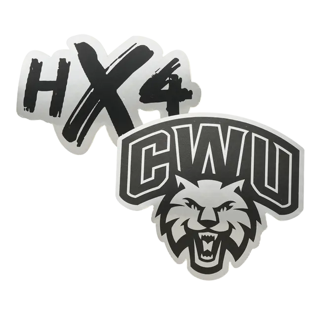 Custom Metallic Paper Stickers view 8