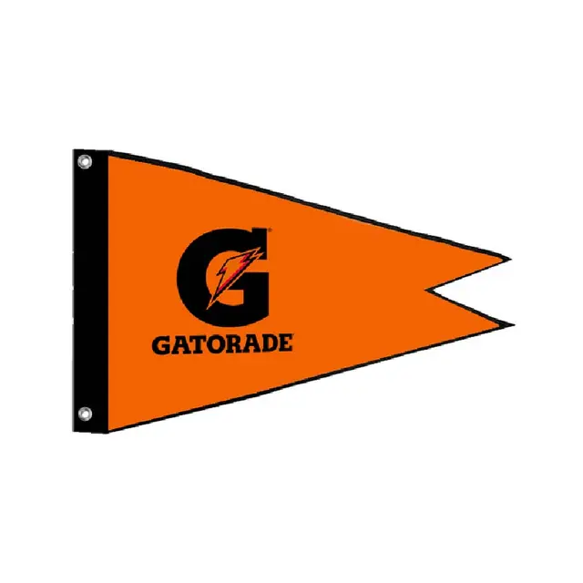 Burgee Flag
