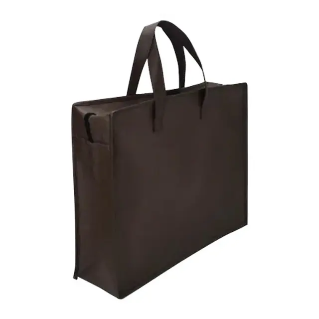 Carrying Bag