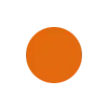 Neon Orange