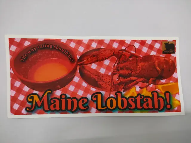Custom Bumper Stickers view 2