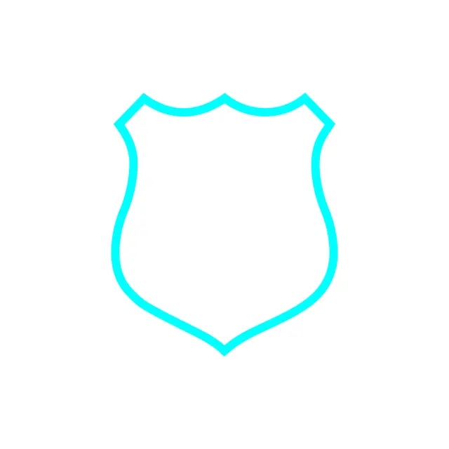 Custom Shape