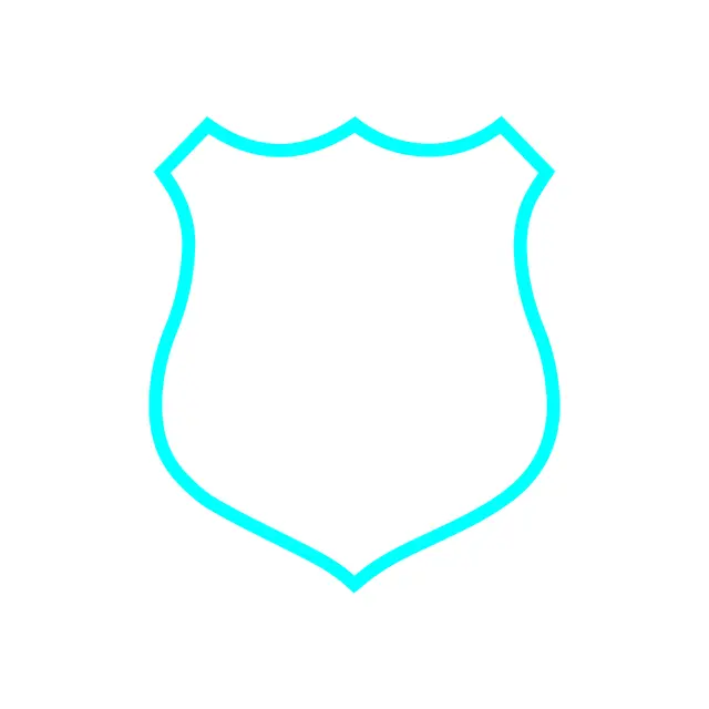 Custom Shape