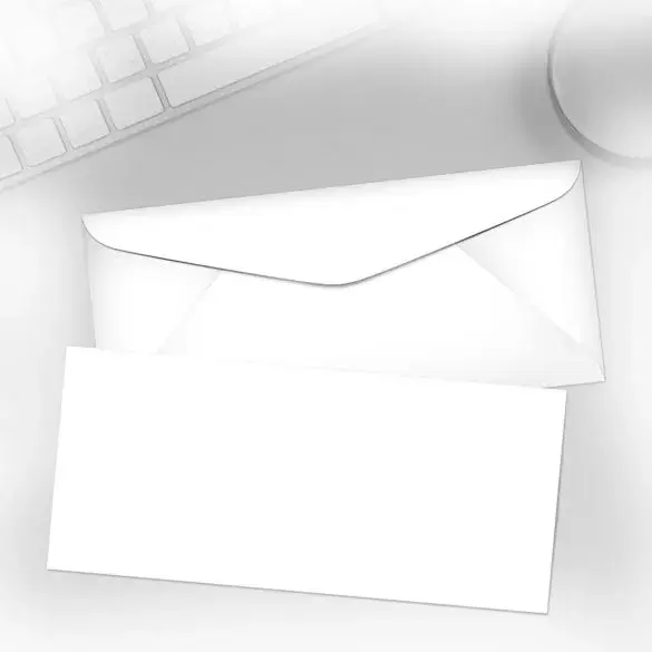 Custom Blank Envelopes view 2