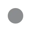 Metallic Silver