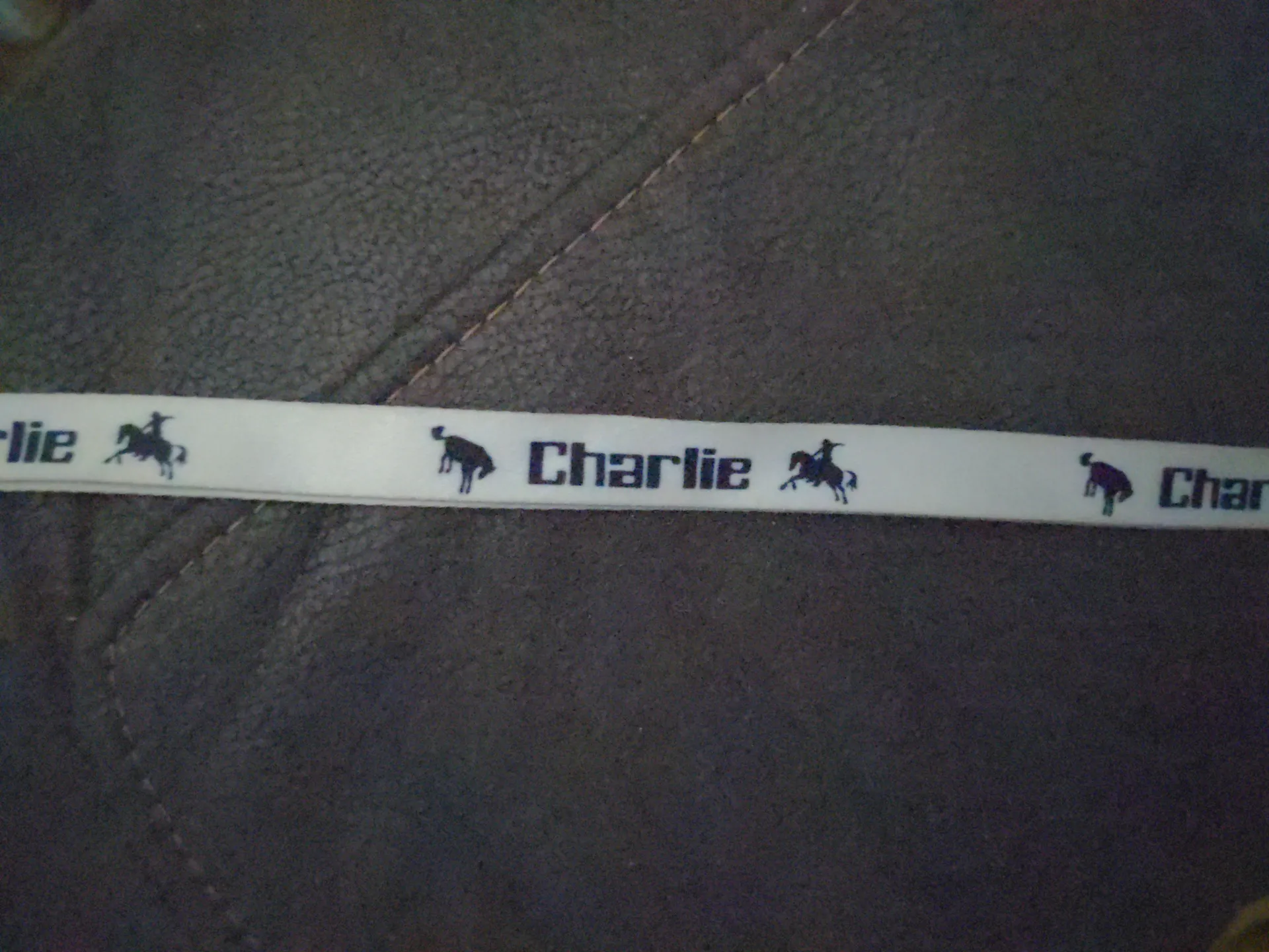 Review photo from Customer