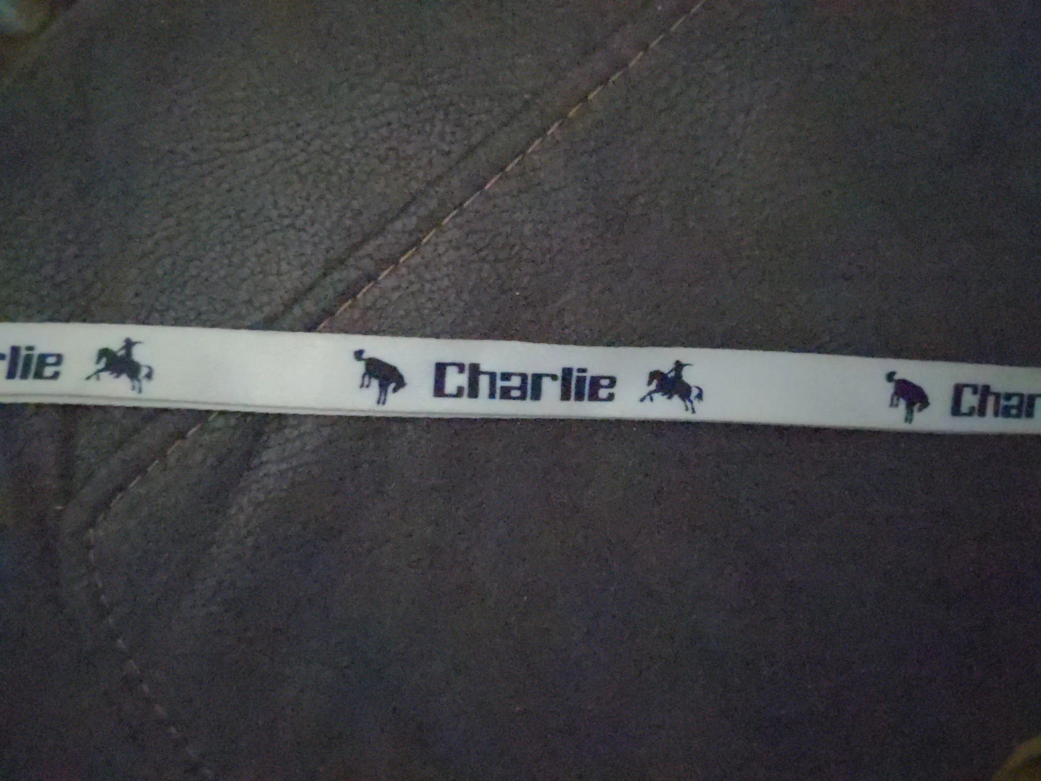 Review photo from Customer