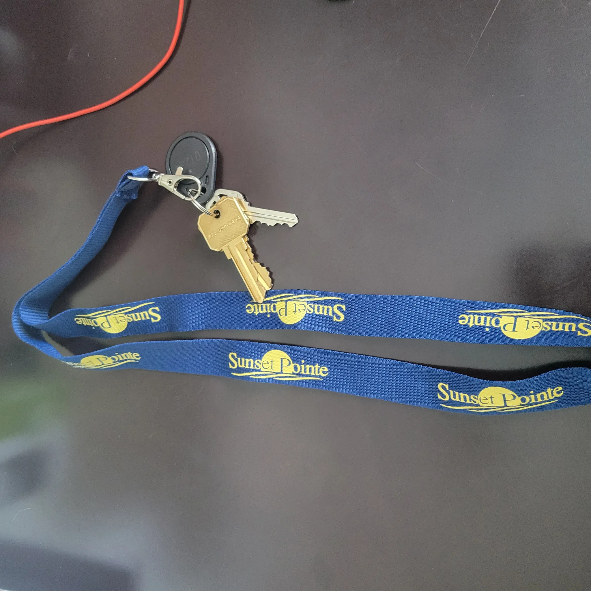 Review photo from Customer