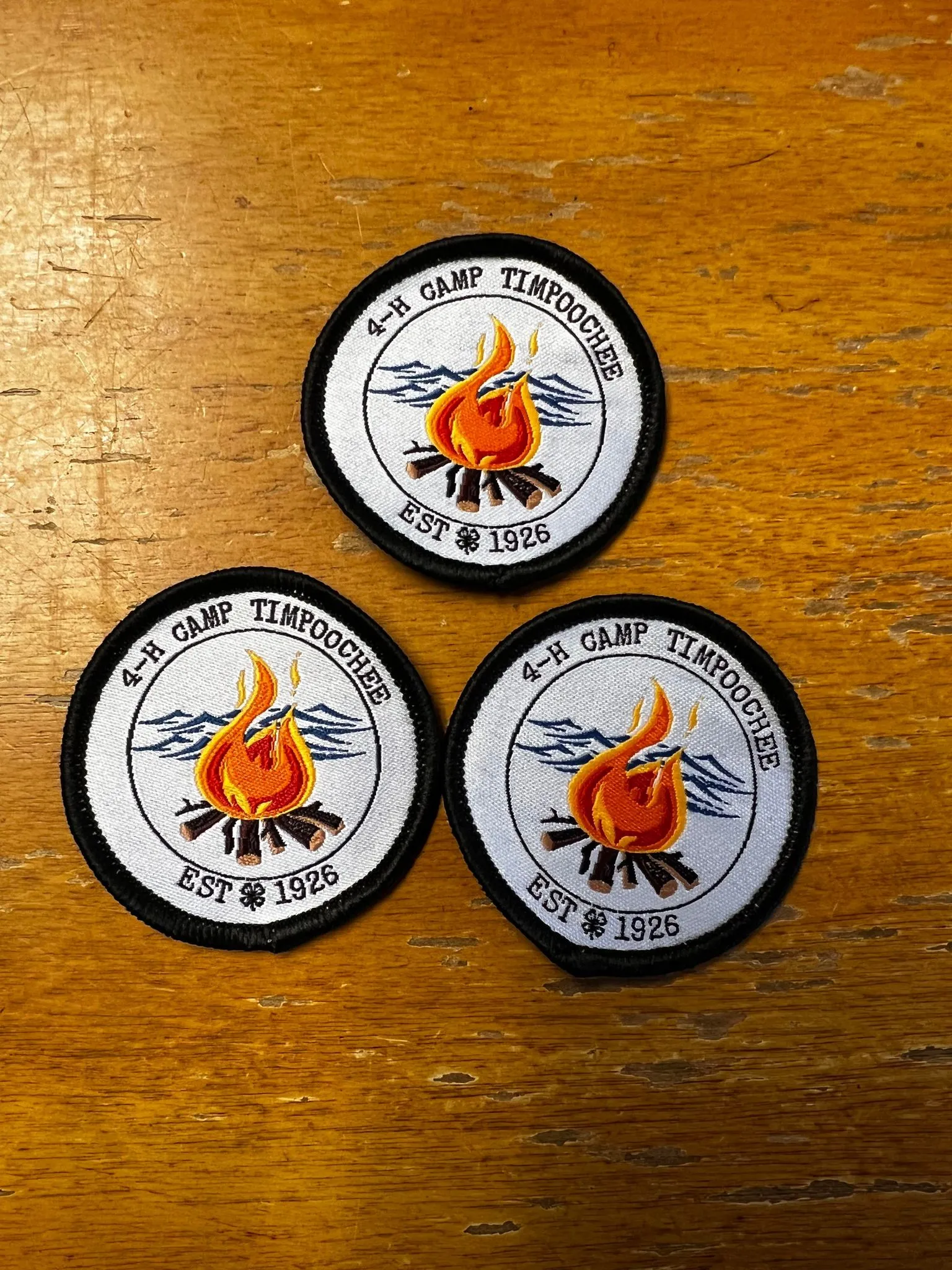 Review photo from Customer