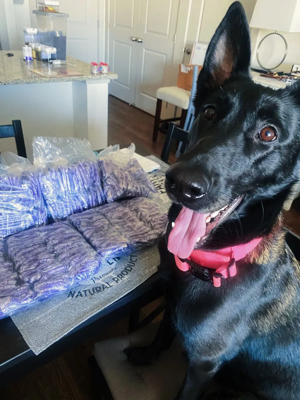 Review photo from Customer