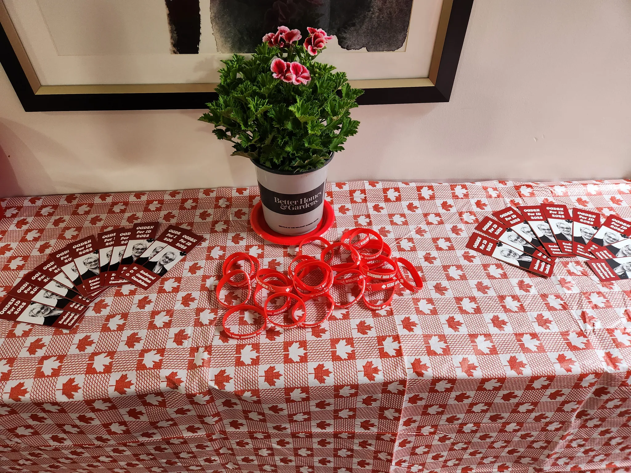 Review photo from Customer