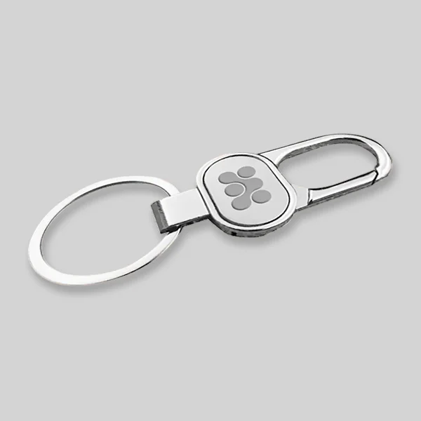 Carabiner Metal Keychains