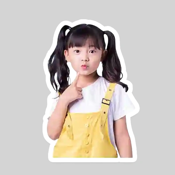 Custom Photo Stickers